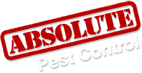Absolute Pest Control – Calgary Exterminator