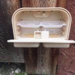 Carpenter ant bait station (open)