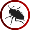 Calgary Insect Removal