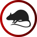 Mouse Removal Calgary