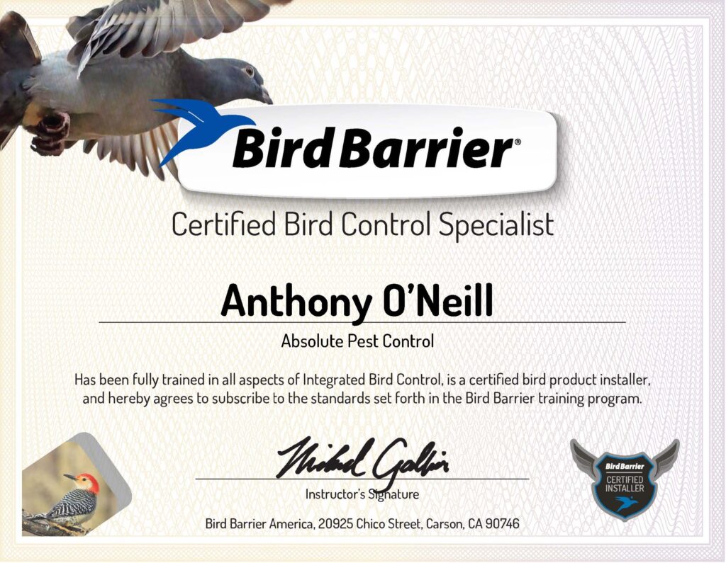 Certified bird control specialist - Bird Barrier America